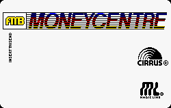 First Michigan Bank - Holland, MI